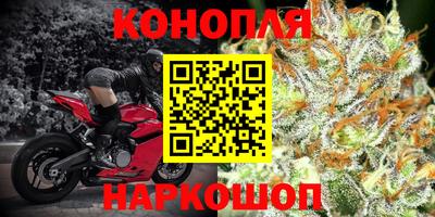 ECSTASY Славгород