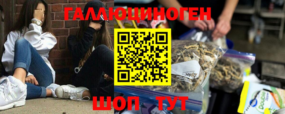 Свободный  Псилоцибиновые грибы Psilocybe  Вход с VPN 