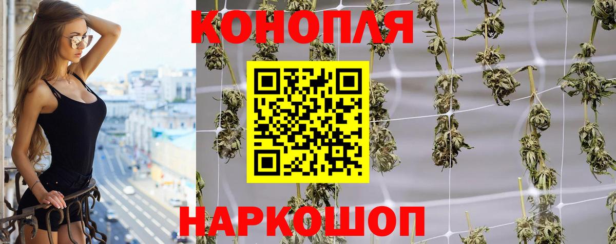 Бошки Шишки MAZAR Свободный